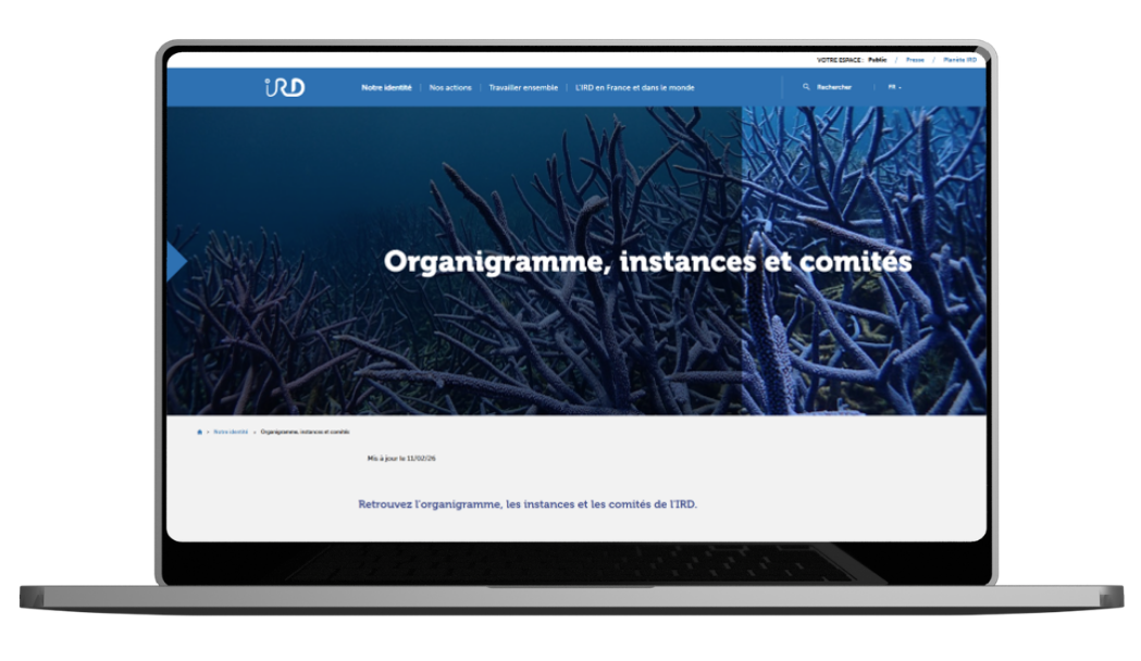 Maintenance applicative PHP Symfony IRD par Codéin